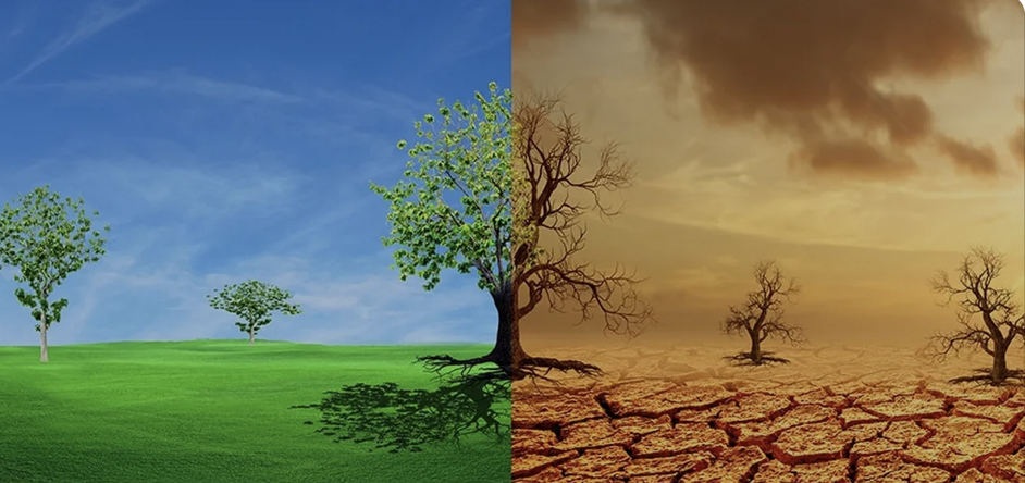 How Climate Change is Impacting Maryland